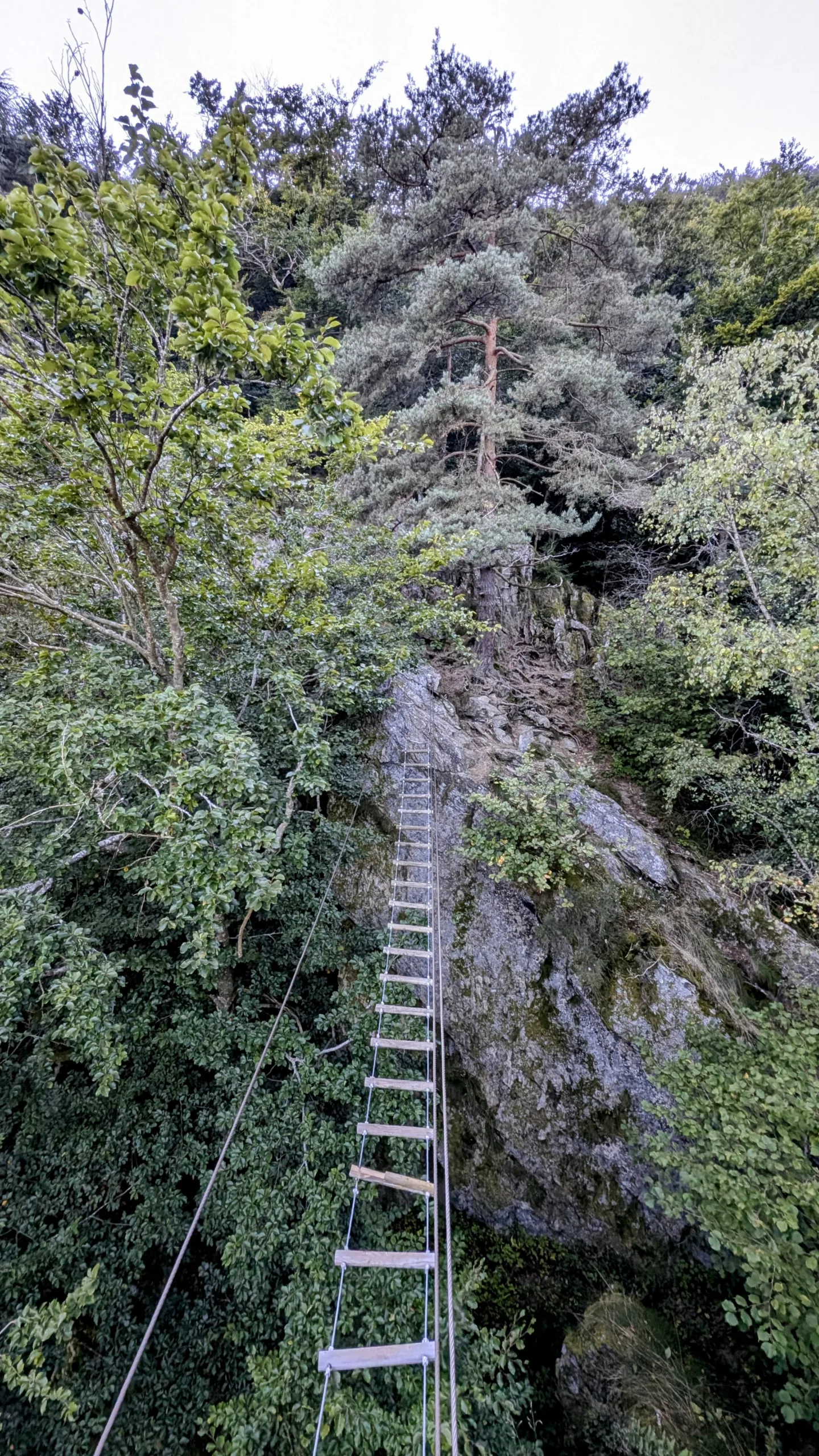 passerelle sur le parcours découverte de la via ferrata de planfoy