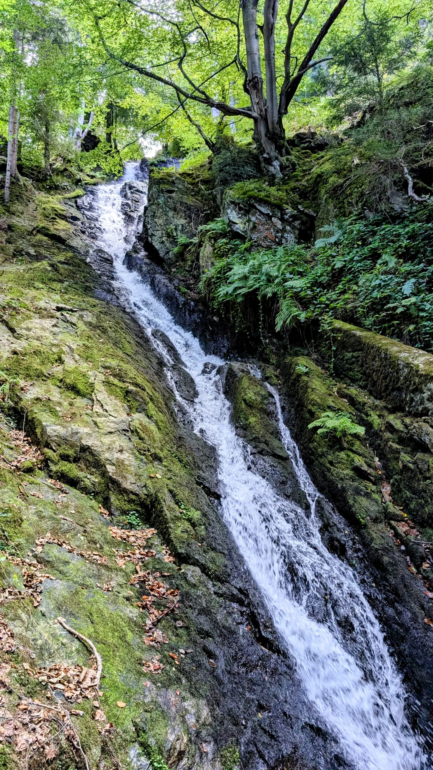 petite cascade à proximité du parking de la via ferrata de planfoy