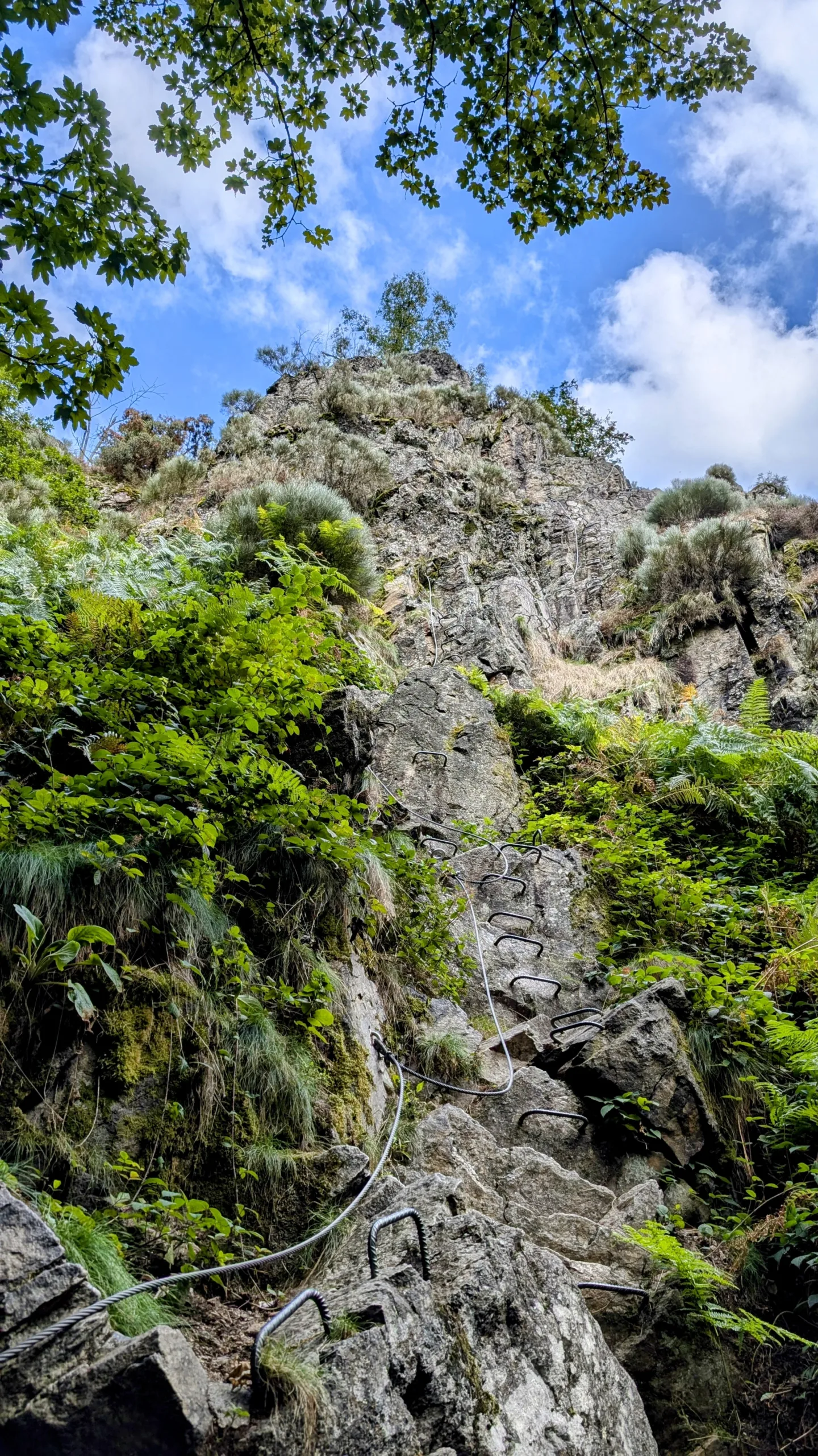 départ du parcours découverte de la via ferrata de planfoy