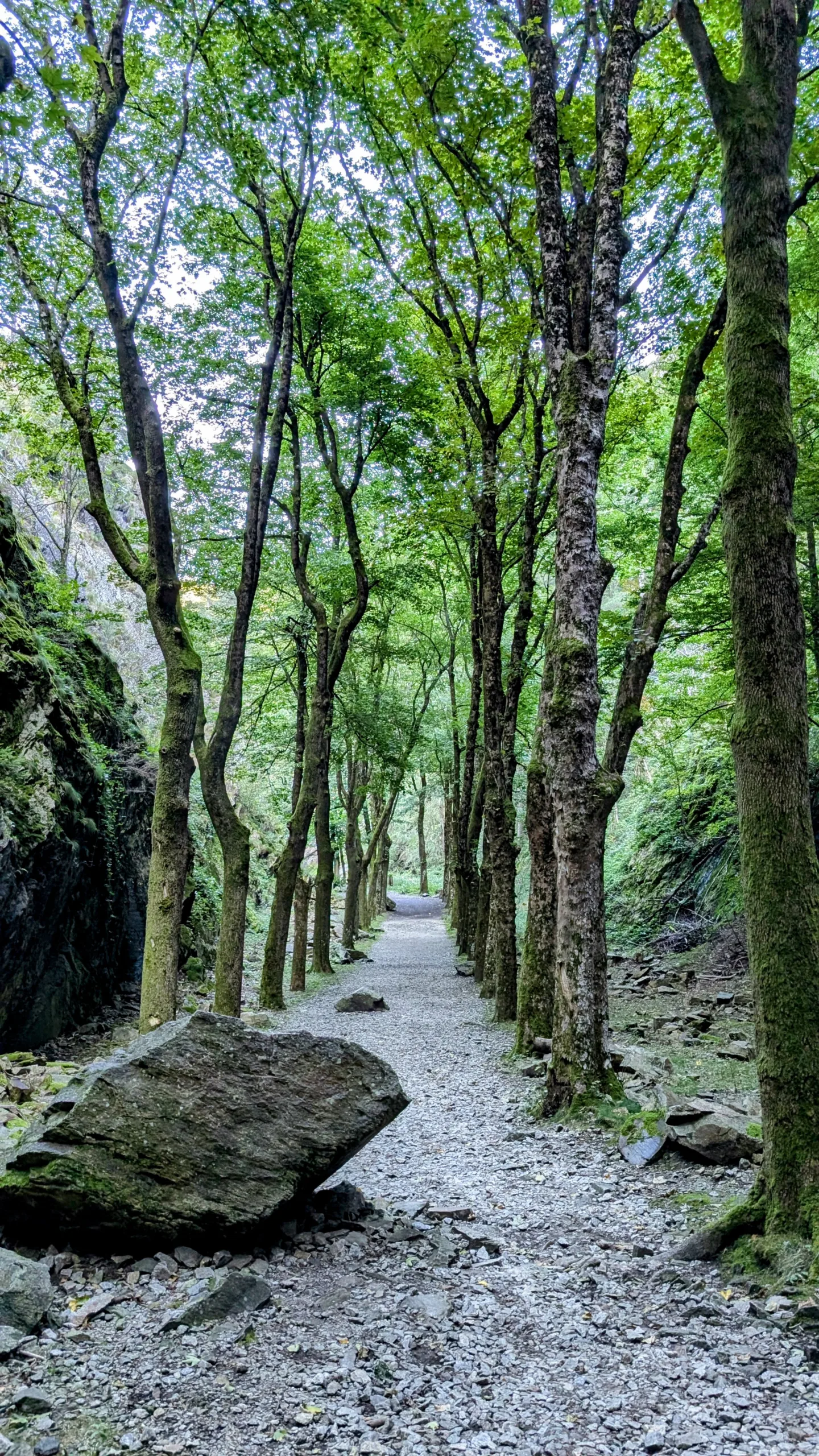 le chemin retour juste en bas du barrage